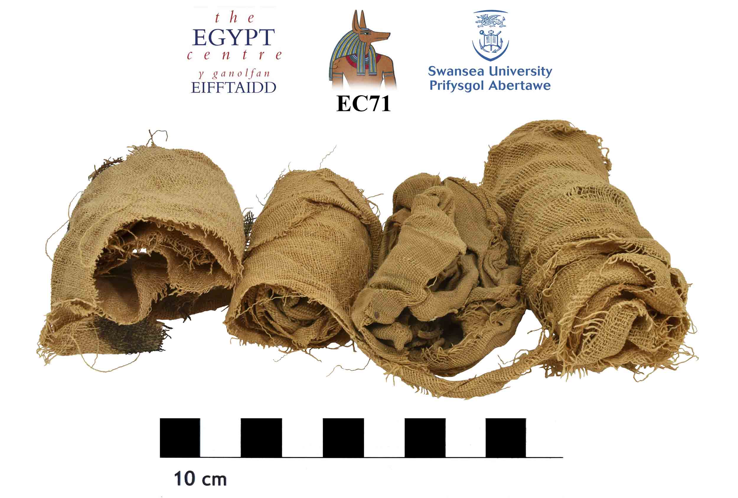 Image for: Three bandages and a mummified snake package